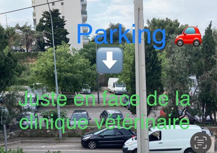 Location Chambre Avec Salle De Bain Et Partie Commune Sea View & Mountain View Renting 1 Of 3 Bedrooms With Shared Common Space 3 Bdrm Apt Not 1 Bdrm Plus Clime Ou Ac Bastiya Dış mekan fotoğraf
